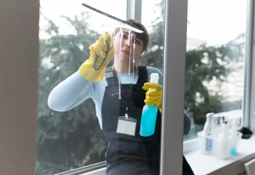 Nettoyage de vitres intérieures et extérieures à Chaunay